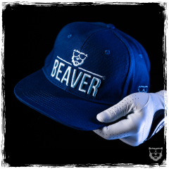 BEAVER Bio-Flat Snapback 'bleu'